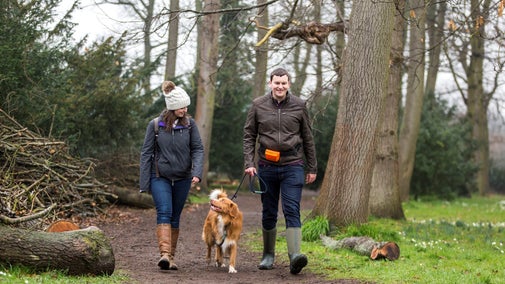 Dog walking at Attingham